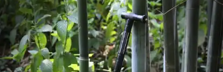 恒峰g22·(中国游)最新官方网站