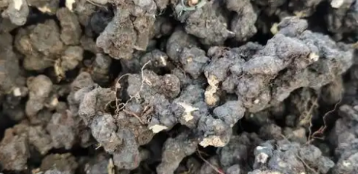 恒峰g22·(中国游)最新官方网站