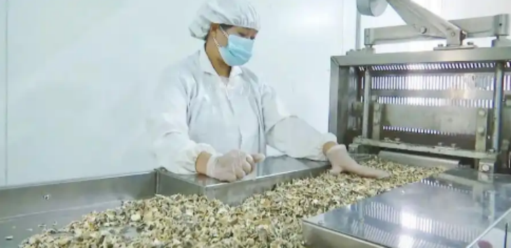 恒峰g22·(中国游)最新官方网站