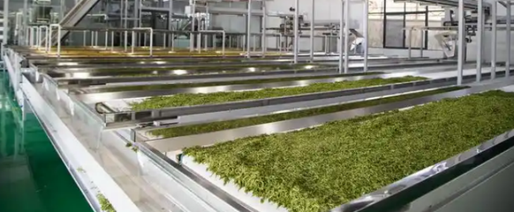恒峰g22·(中国游)最新官方网站