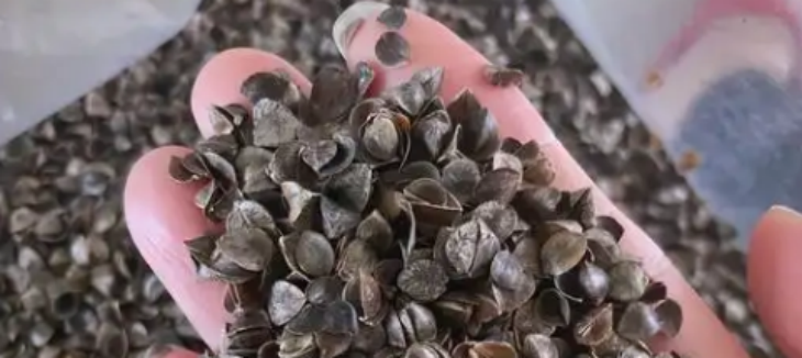 恒峰g22·(中国游)最新官方网站