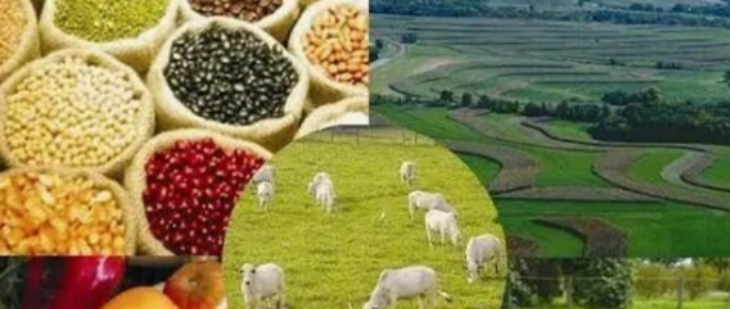 恒峰g22·(中国游)最新官方网站