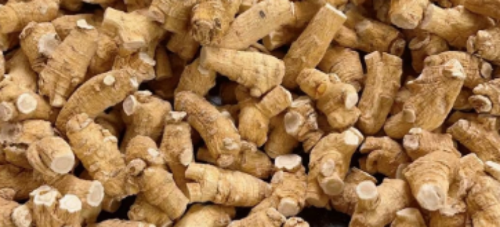 恒峰g22·(中国游)最新官方网站
