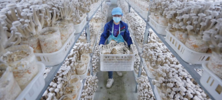 恒峰g22·(中国游)最新官方网站